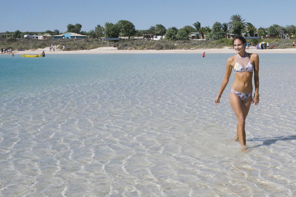Ningaloo Reef Resort Корал-Бэй Экстерьер фото